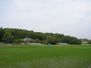 根戸船戸緑地全景